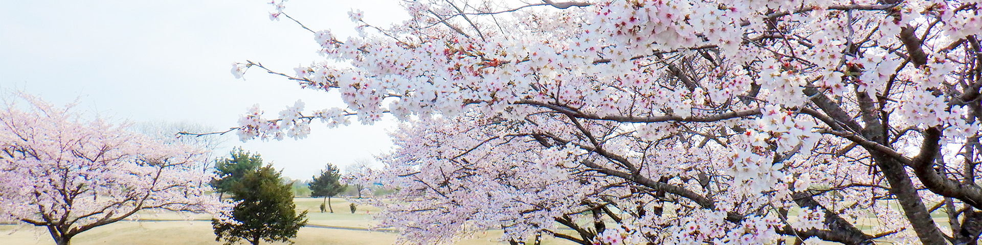 栃木県民ゴルフ場＜愛称　とちまるゴルフクラブ＞